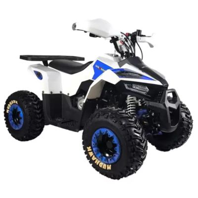 ATV 125 кубика MaxMotors MUDHAWK